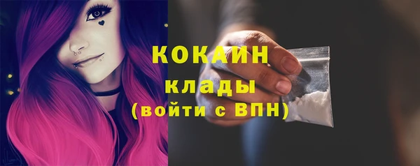 гашик Зеленокумск