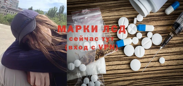гашик Зеленокумск