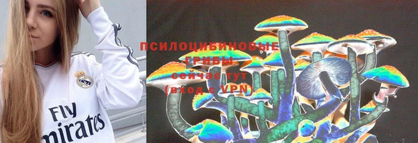 гашик Зеленокумск