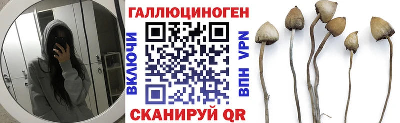 Галлюциногенные грибы GOLDEN TEACHER  Купить  Калач 