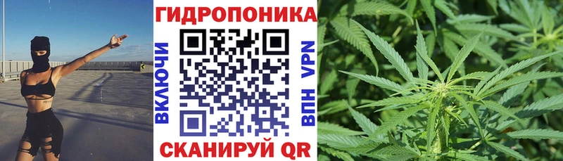 Купить  Калач  Конопля MAZAR 